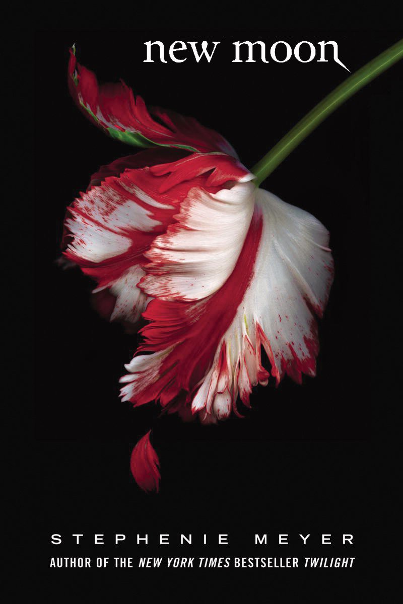 New Moon